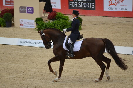 Dressage Lyon, DSC_2884