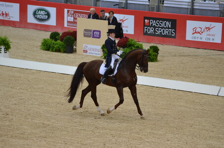 Dressage Lyon, DSC_2890