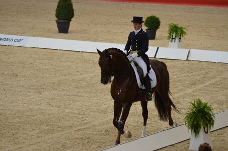 Dressage Lyon, DSC_2892