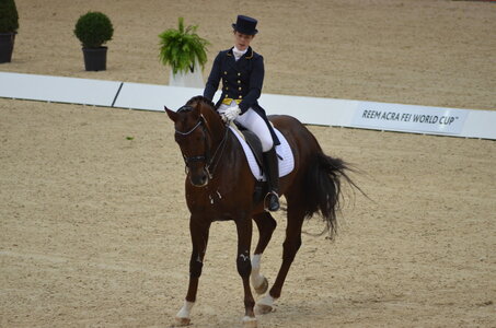 Dressage Lyon, DSC_2894