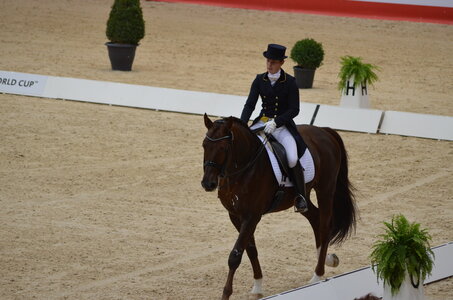Dressage Lyon, DSC_2897