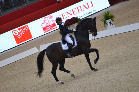 Dressage Lyon, DSC_2903