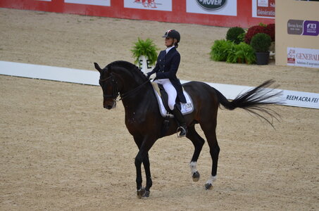 Dressage Lyon, DSC_2905