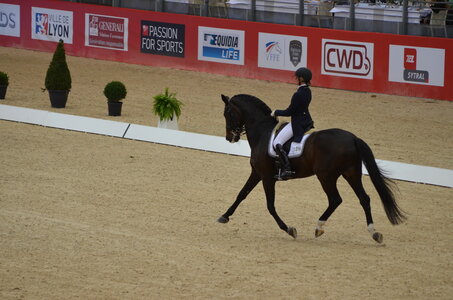 Dressage Lyon, DSC_2914