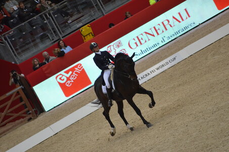Dressage Lyon, DSC_2919