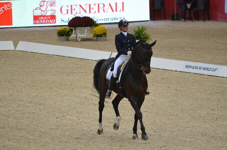 Dressage Lyon, DSC_2920