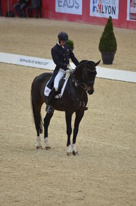 Dressage Lyon, DSC_2924 Daniel Watson Fideramber