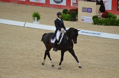 Dressage Lyon, DSC_2926