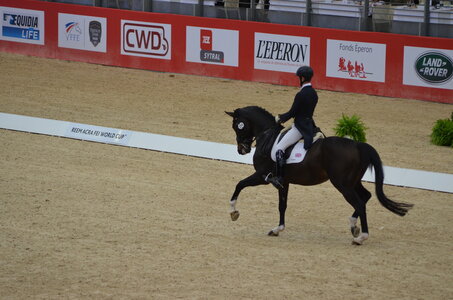 Dressage Lyon, DSC_2927