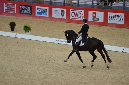 Dressage Lyon, DSC_2929