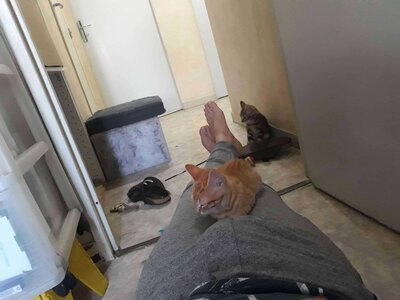 Sporty et Spirou, 1628424994041