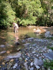 OMIR, IMG_02311