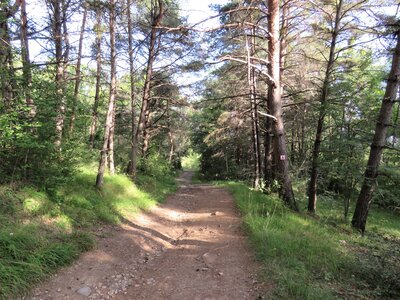 Circuit Costebelle - La Bréole, IMG_7363