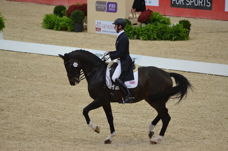 Dressage Lyon, DSC_2936