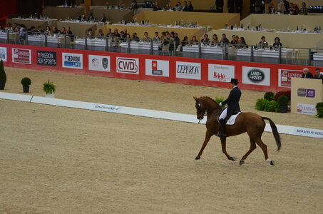 Dressage Lyon, DSC_2945