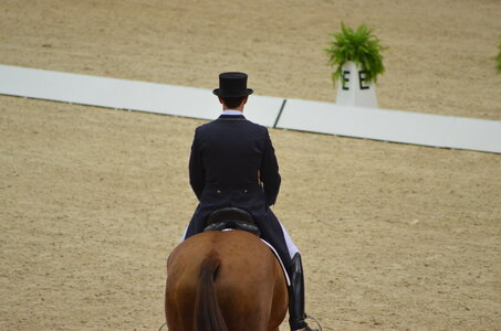 Dressage Lyon, DSC_2951