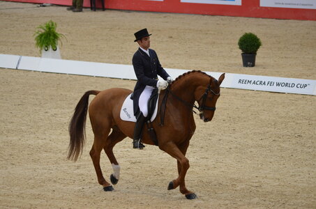 Dressage Lyon, DSC_2952