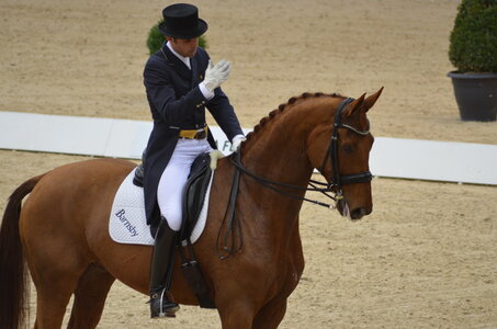 Dressage Lyon, DSC_2957