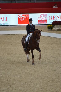 Dressage Lyon, DSC_2965