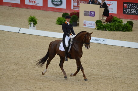 Dressage Lyon, DSC_2968