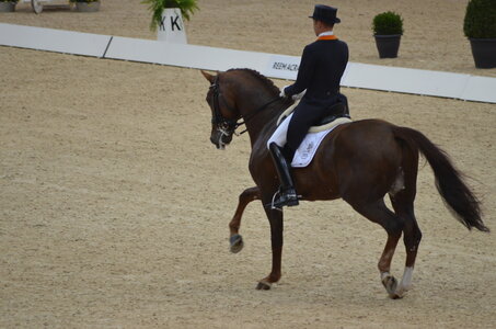 Dressage Lyon, DSC_2973