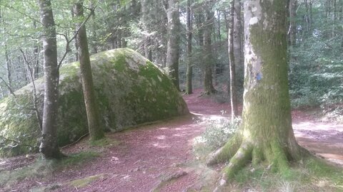 Sidobre, 20210813_160420