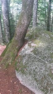 Sidobre, 20210813_160633