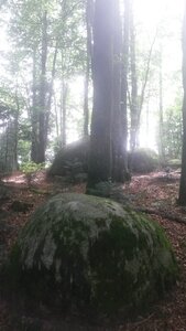 Sidobre, 20210813_161001