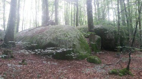 Sidobre, 20210813_161056