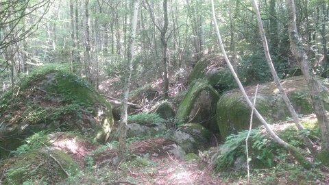 Sidobre, 20210813_161741