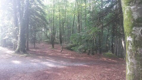 Sidobre, 20210813_182621