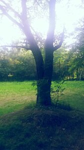 Sidobre, 20210813_183409