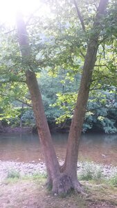 Sidobre, 20210814_091736