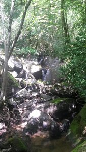 Sidobre, 20210814_144019