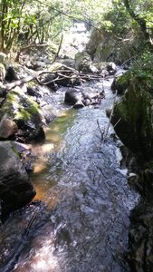 Sidobre, 20210814_155944