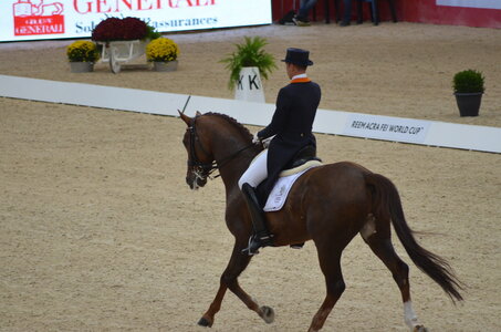 Dressage Lyon, DSC_2974