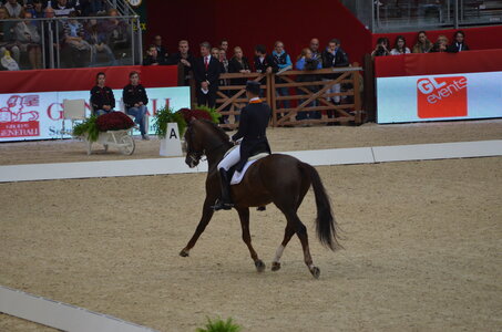Dressage Lyon, DSC_2977