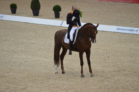 Dressage Lyon, DSC_2988