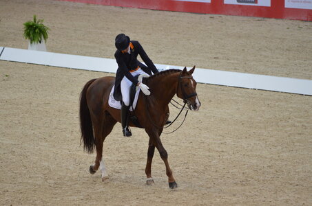 Dressage Lyon, DSC_2990