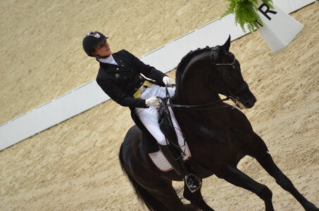 Dressage Lyon, DSC_2992