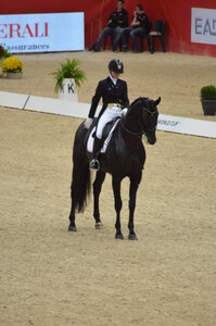Dressage Lyon, DSC_2995