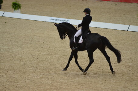 Dressage Lyon, DSC_2997