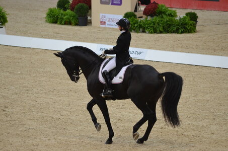 Dressage Lyon, DSC_3001