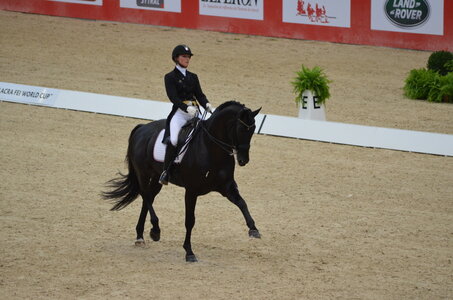 Dressage Lyon, DSC_3006