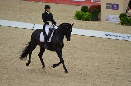 Dressage Lyon, DSC_3008