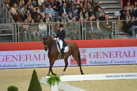 Dressage Lyon, DSC_3020