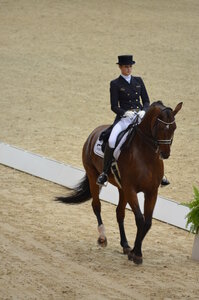 Dressage Lyon, DSC_3021