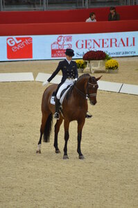 Dressage Lyon, DSC_3026