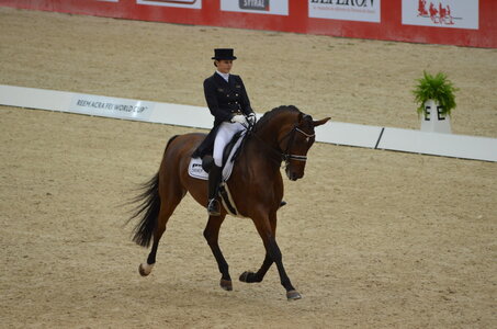 Dressage Lyon, DSC_3027