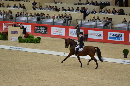 Dressage Lyon, DSC_3028